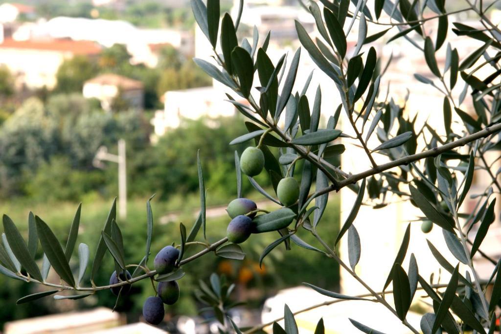 M Suites Sorrento Eksteriør bilde